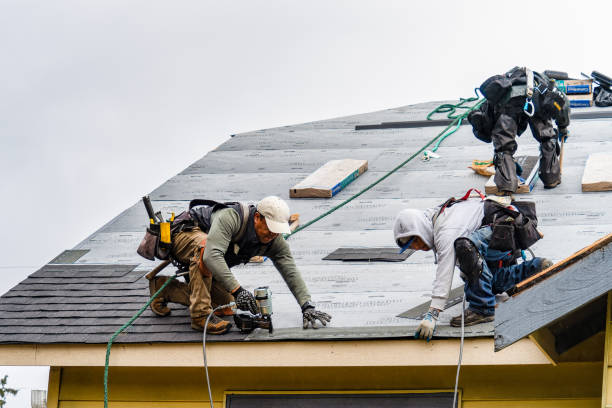 Professional Storm Damage Roof Repair technician working in Clearwater, KS